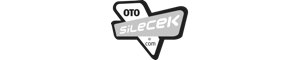 Oto Silecek